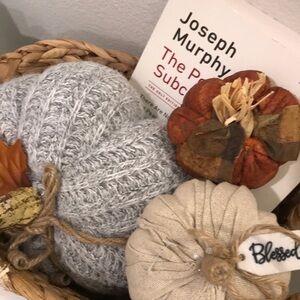 Sweater Pumpkins Cozy Autumn Home Decor  NEW Custom Final Sale